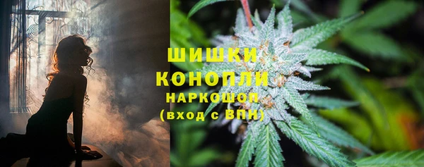 молекула духа Армянск