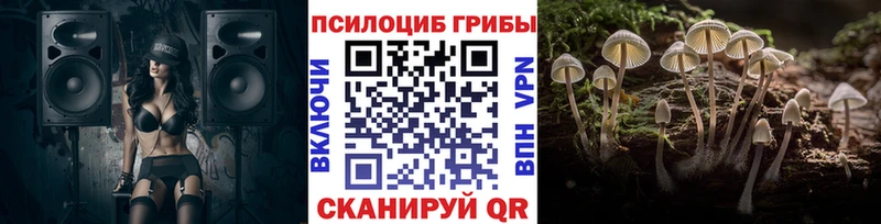 где можно купить   Нововоронеж  Псилоцибиновые грибы ЛСД 